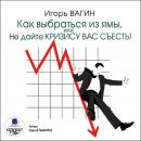 Как выбраться из ямы, или Не дайте кризису вас съесть! Audiobook