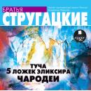Туча. 5 ложек эликсира. Чародеи Audiobook