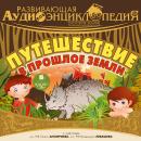 История Земли: Путешествие в прошлое Земли Audiobook