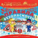 Правила безопасности Audiobook