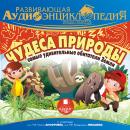 Чудеса природы: самые удивительные обитатели Земли: Наша планета Audiobook