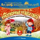 Рукотворные чудеса света, или Тайны памятников прошлого: Наша планета Audiobook