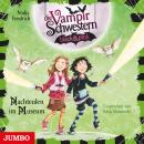 Die Vampirschwestern black & pink. Nachteulen im Museum Audiobook