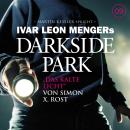 [German] - 09: Das kalte Licht Audiobook