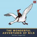 The Wonderful Adventures of Nils Audiobook