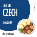 Lär dig Czech (språkkurs för nybörjare) Audiobook