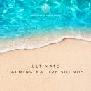 Ultimate Calming Nature Sounds With Calming Music For Hypnosis, Meditation, Energy Work, Deep Sleep: Calm Your Body And Mind With The Sound Of Ocean Waves, Light Wind, Birds In The Rain