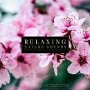 Ultimate Relaxing Nature Sounds with Relaxing Music for Meditation, Study, Mindfulness & Deep Sleep: Audiobook