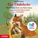 Der Findefuchs: Wie der kleine Fuchs eine Mutter bekam Audiobook