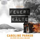 [German] - Feuerskälte - Berlin Krimi, Band 3 (ungekürzt) Audiobook