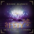 [German] - Im Schein der Flammen - Feiy, Band 2 (Ungekürzt) Audiobook