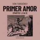 [Spanish] - Primer amor (Completo) Audiobook