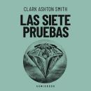 [Spanish] - Las siete pruebas Audiobook