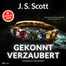 [German] - Gekonnt verzaubert - Unerwartet Milliardär, Buch 4 (ungekürzt) Audiobook