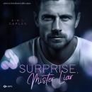[German] - Surprise, Mister Liar Audiobook