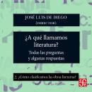 [Spanish] - ¿Cómo clasificamos las obras literarias? - ¿Para qué sirve la literatura? - Todas las pr Audiobook
