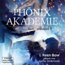 [German] - Sammelband 4 - Phönixakademie, Band 4 (ungekürzt) Audiobook
