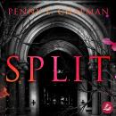 [German] - Split: Eine Unfolding Novelle (Unfolding 4.5) Audiobook