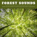 Forest Sounds: Forest Nature Sounds for Meditation, Deep Sleep & Relaxation (XXL Bundle) Audiobook