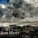 Am Meer: Roman von August Strindberg Audiobook