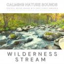 Peaceful Water Sounds With Deep Forest Ambiance: Wilderness Stream & Babbling Brook: The Sound Heali Audiobook