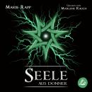 [German] - Seele aus Donner Audiobook