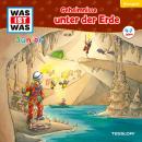 [German] - 35: Geheimnisse unter der Erde Audiobook