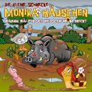 [German] - 66: Warum wälzen sich Wildschweine im Dreck? Audiobook
