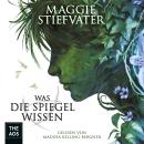 Was die Spiegel wissen Audiobook