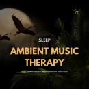 SLEEP: Ambient Music Therapy: Peaceful & Relaxing Natural Music for Deep Sleep, Meditation, Spa, Rei Audiobook