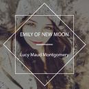 Emily of New Moon Audiobook