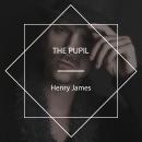 The Pupil Audiobook