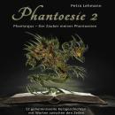 [German] - Phantoesie 2: Phantargus - Der Zauber meiner Phantoesien: 12 geheimnisvolle Kurzgeschicht Audiobook