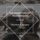 The Adventures of Paddy Beaver Audiobook