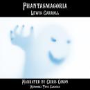 Phantasmagoria Audiobook