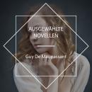 [German] - Ausgewählte Novellen Audiobook