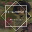 The Pennycomequicks Audiobook
