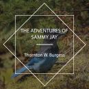 The Adventures of Sammy Jay Audiobook