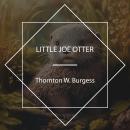 Little Joe Otter Audiobook