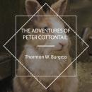 The Adventures of Peter Cottontail Audiobook