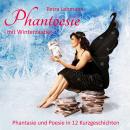 [German] - Phantoesie mit Winterzauber: Phantasie und Poesie in 12 Kurzgeschichten Audiobook