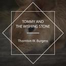 Tommy and the Wishing Stone Audiobook