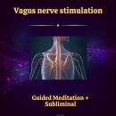 Vagus Nerve Stimulation - Guided Meditation & Subliminal Audiobook