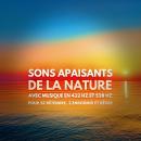 [French] - Sons apaisants de la nature avec musique en 432 Hz et 528 Hz pour se détendre, s'endormir et rêver: Le murmure des vagues, les sons apaisants de la forêt, le chant des oiseaux et la douce pluie, accompagnés de mélodies oniriques Audiobook
