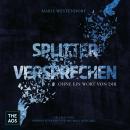 [German] - Splitterversprechen Audiobook