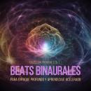[Spanish] - Beats Binaurales para Enfoque Profundo y Aprendizaje Acelerado – Colección Premium 3 en  Audiobook