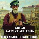 How a Muzhik Fed Two Officials Audiobook