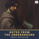 Notes from the Underground Audiobook