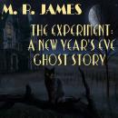 The Experiment: A New Year's Eve Ghost Story Audiobook