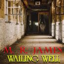 Wailing Well Audiobook